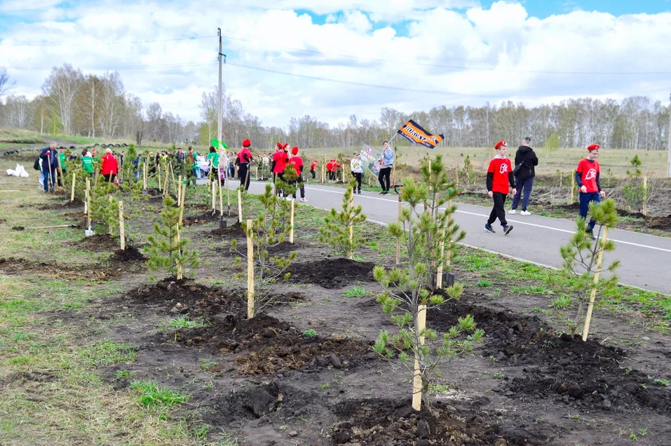 Департамент лесного комплекса Кузбасса