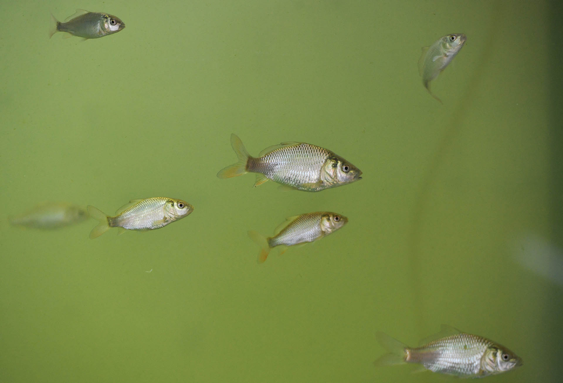 В&nbsp;Воронежской области провели мониторинг состояния рек