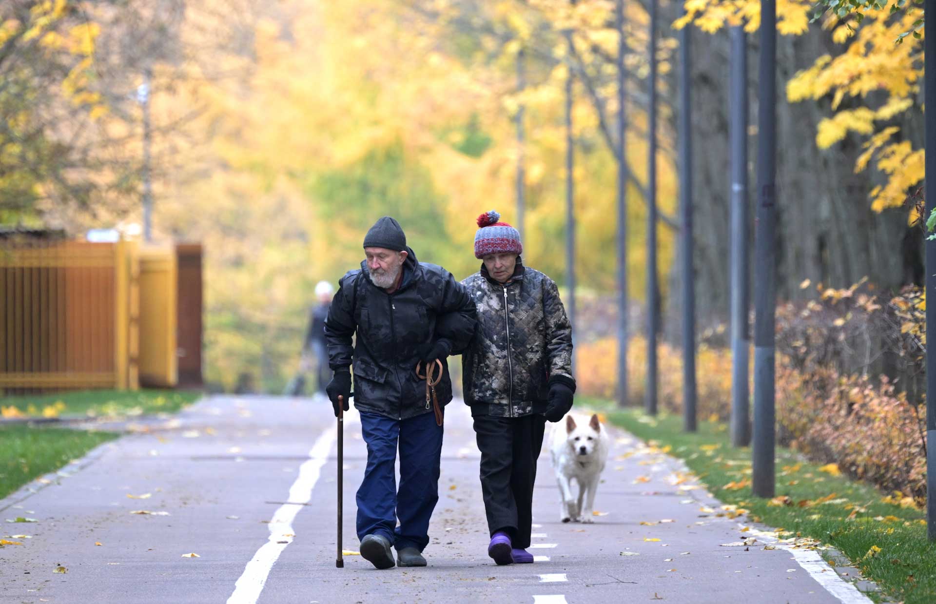 Дни поддержки старшего поколения посетили более 1,7 тысячи башкортостанцев