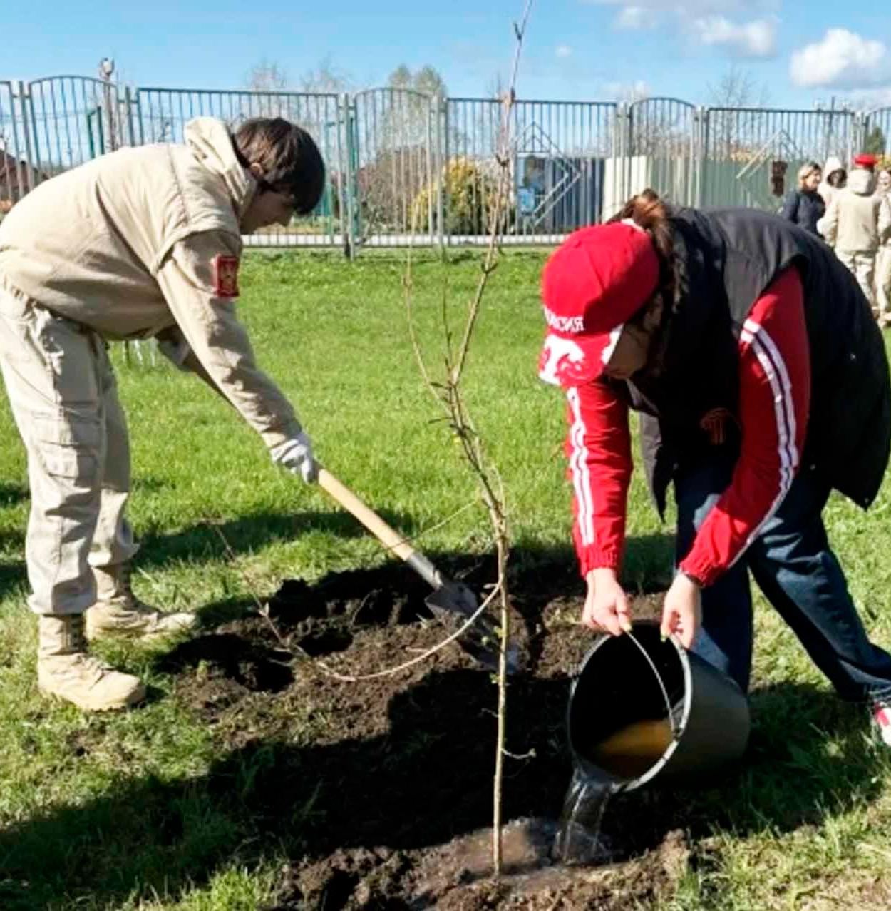 В&nbsp;Успенском районе Краснодарского края высадят более тысячи деревьев