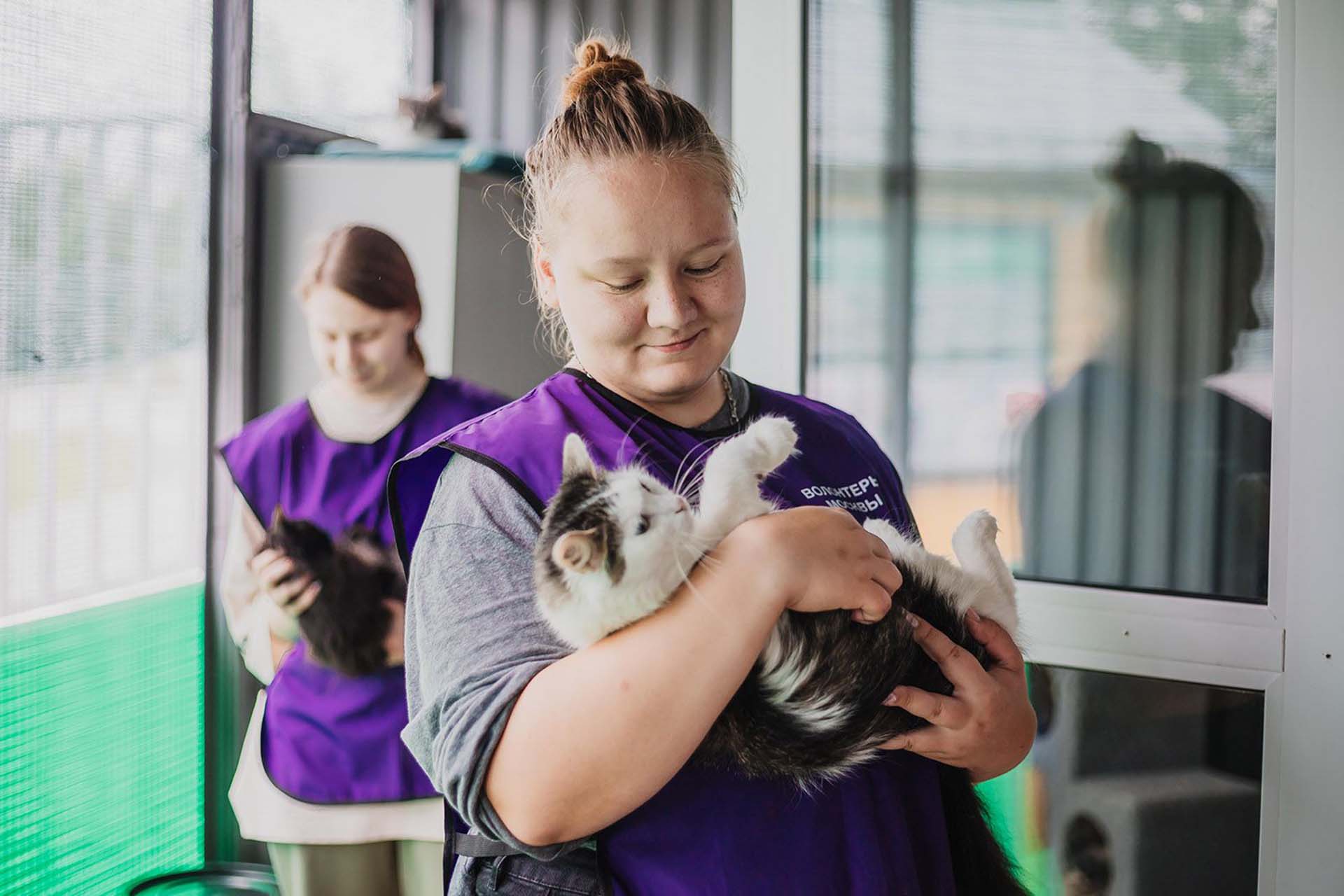 В&nbsp;Москве стартовала акция по&nbsp;сбору подарков для&nbsp;бездомных кошек и&nbsp;собак
