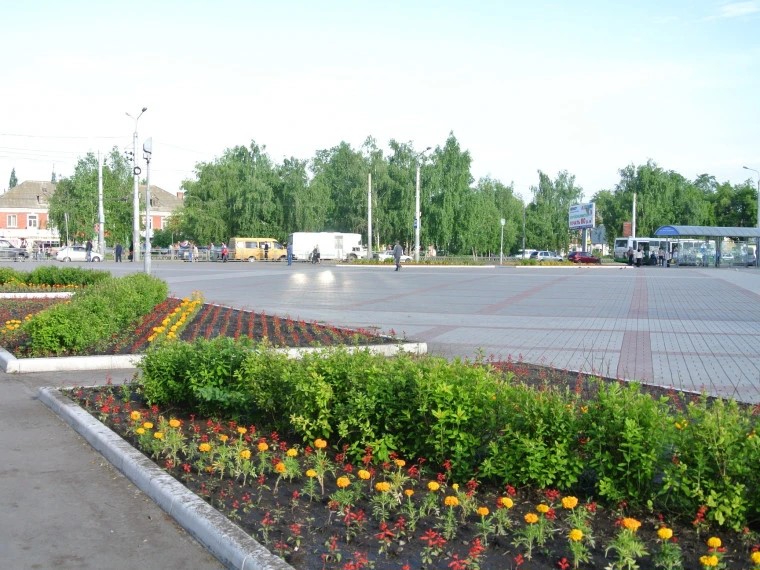 В&nbsp;Октябрьском округе Омска высадили около 10&nbsp;тысяч цветов