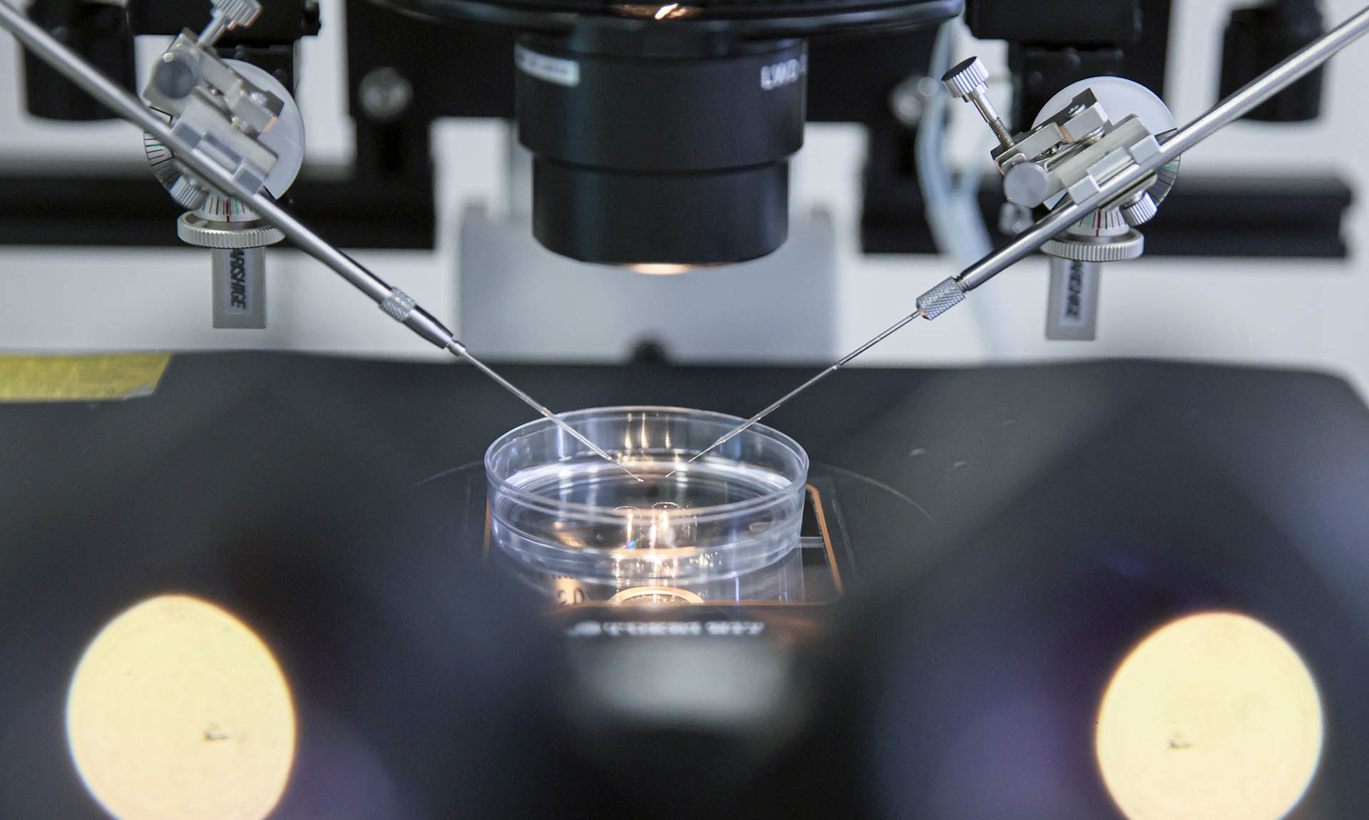 Четыре проекта из&nbsp;Тюменской области вошли в&nbsp;число победителей УМНИК-2025