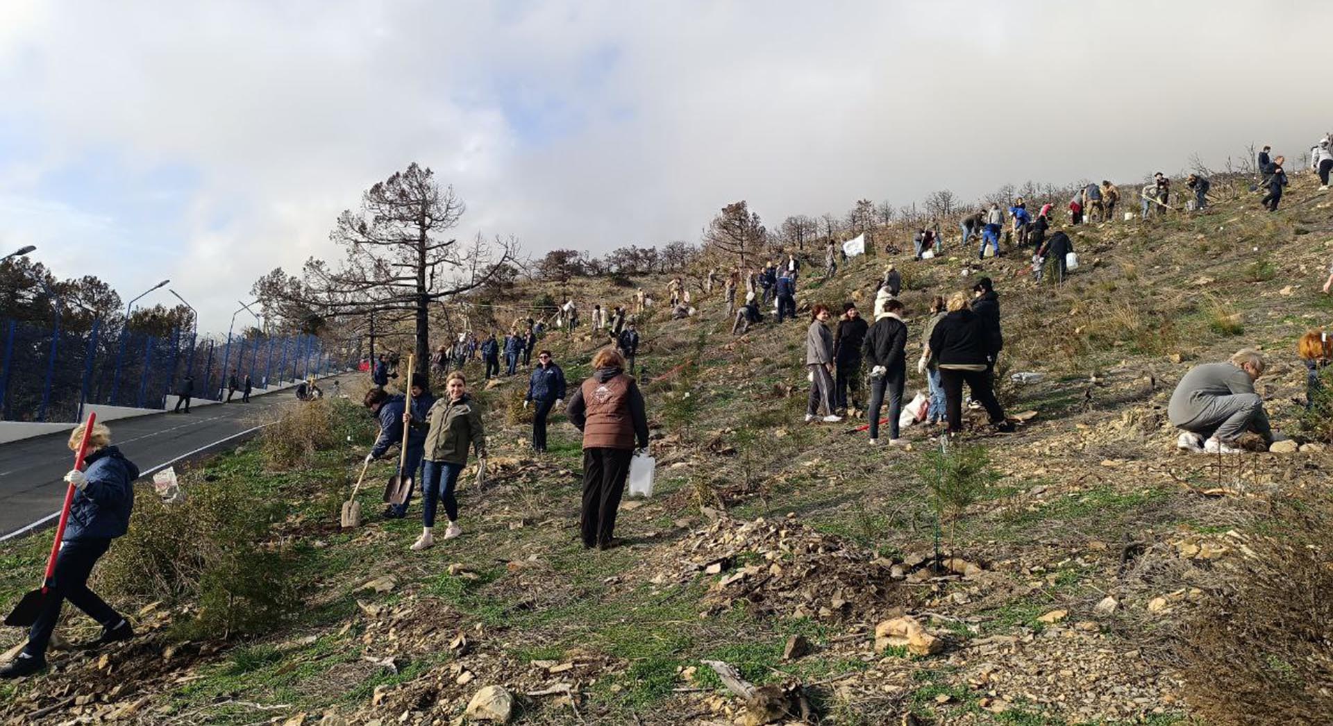 В&nbsp;Новороссийске на&nbsp;территории заказника &laquo;Абраусский&raquo; укоренили 160&nbsp;саженцев