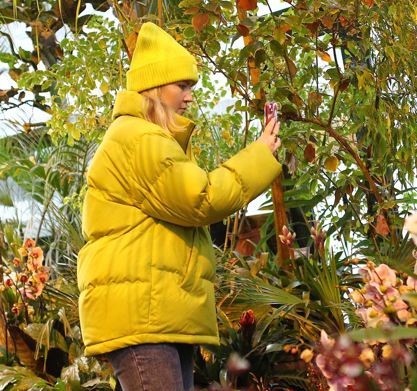 В Санкт-Петербурге создали 20 аптекарских огородов с начала года
