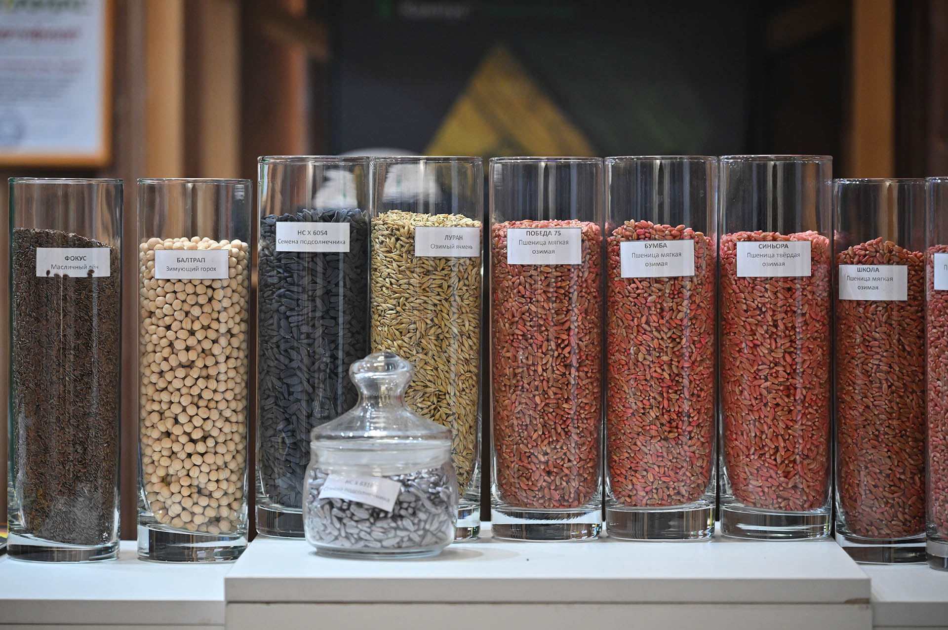 Компании Тюменской области посетят выставку Agro Expo 2026&nbsp;в&nbsp;Монголии
