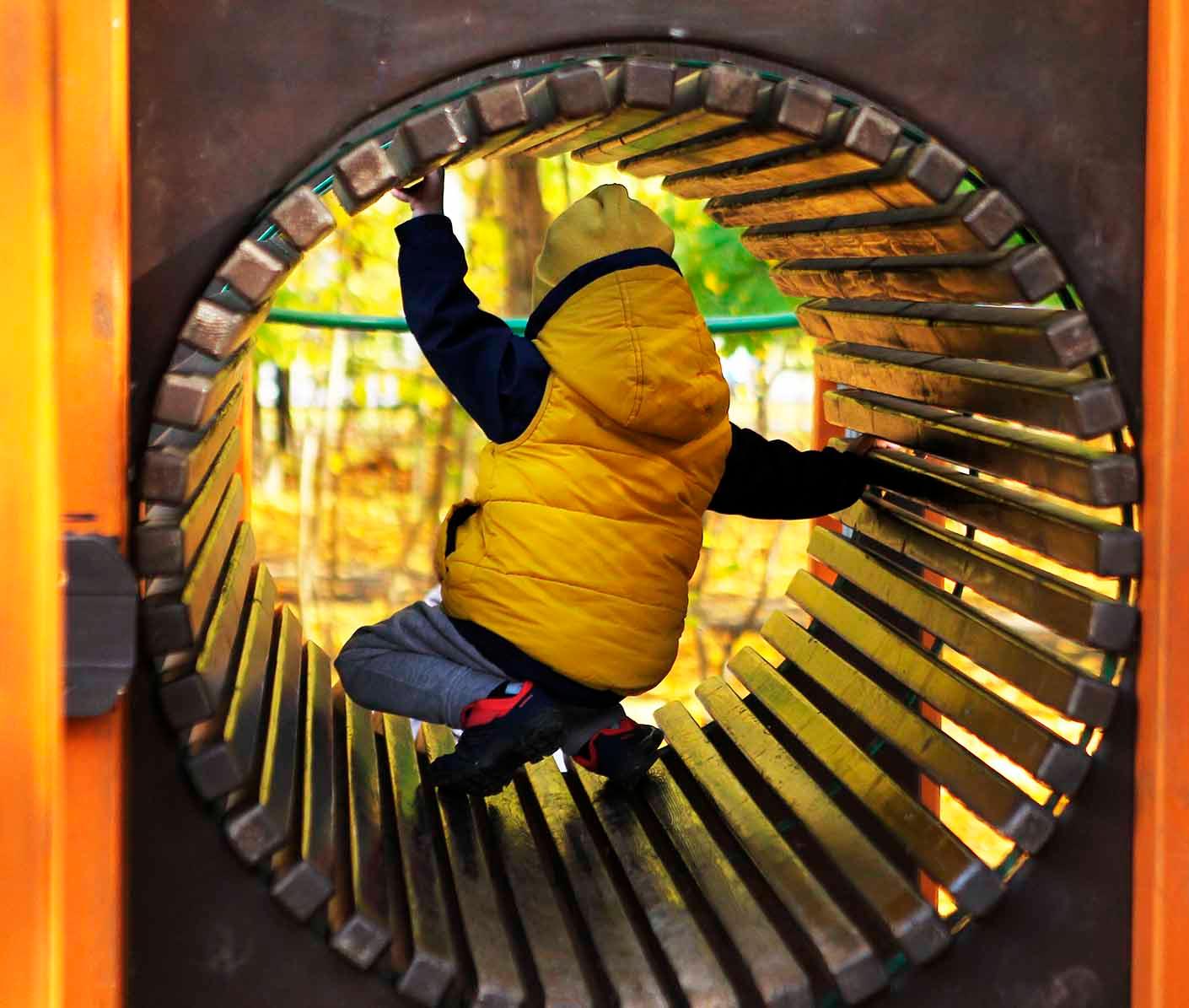 Свыше 80&nbsp;общественных территорий благоустроят в&nbsp;Алтайском крае в&nbsp;2026&nbsp;году