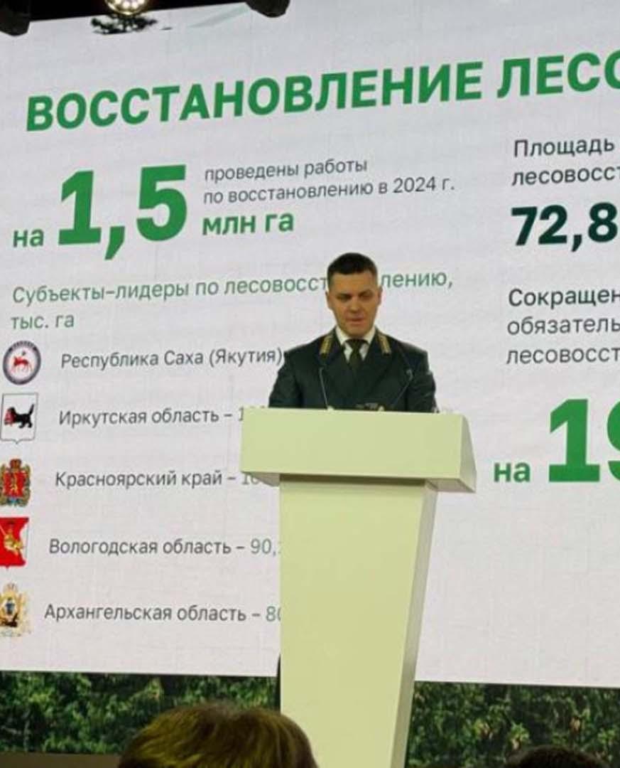 Якутия возглавила список регионов по&nbsp;площади восстановления лесов