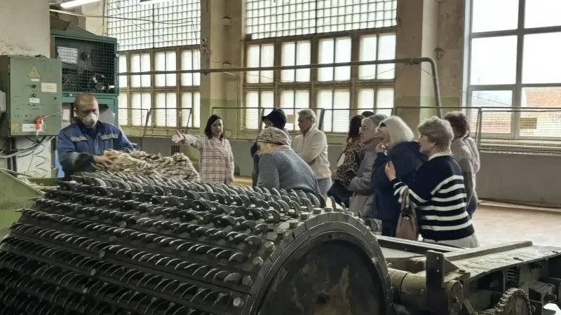 Участницы &laquo;Активного долголетия&raquo; посетили фетровую фабрику в&nbsp;Воскресенске