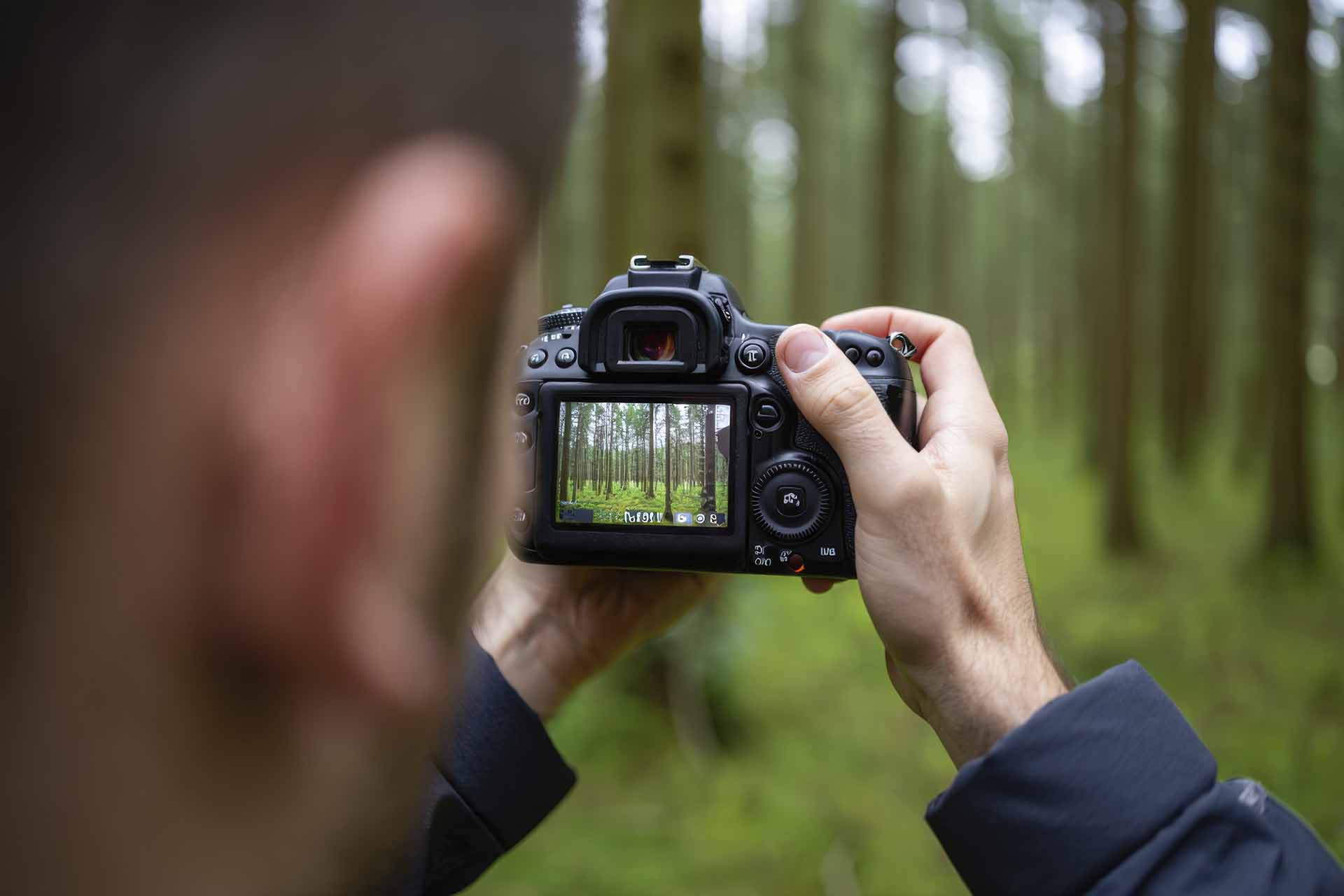 В&nbsp;Томской области стартовала регистрация на&nbsp;фотоконкурс &laquo;Экофокус&raquo;