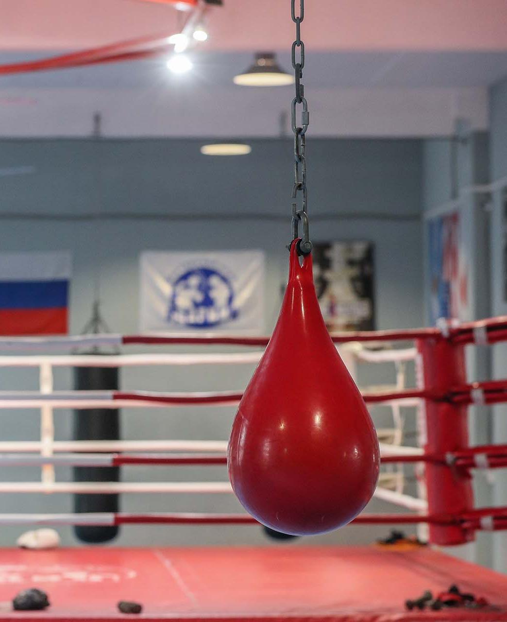 В&nbsp;спортшколе Асбестовского округа Свердловской области обновили инвентарь