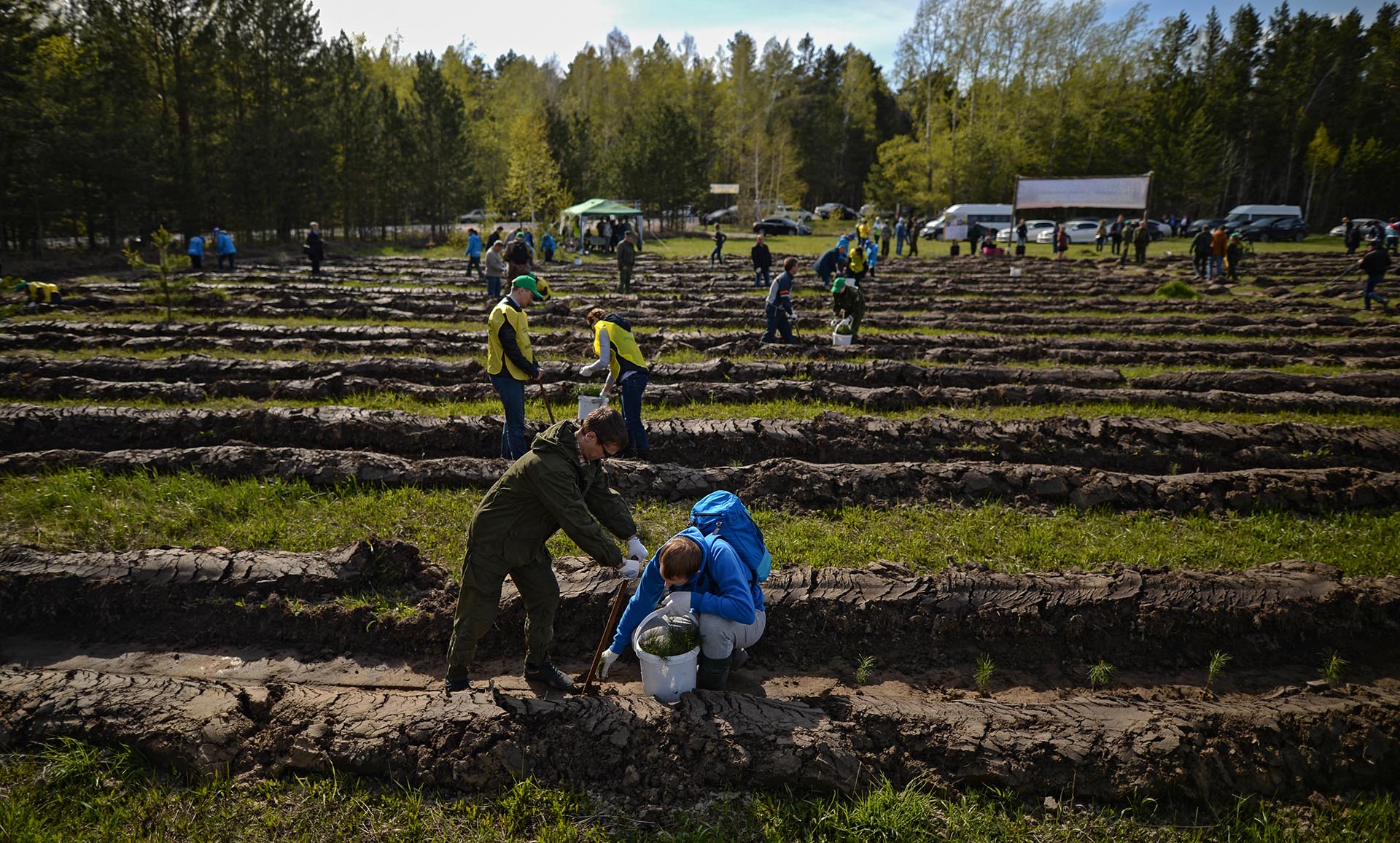 В&nbsp;парке Армавира высадили более 300&nbsp;деревьев