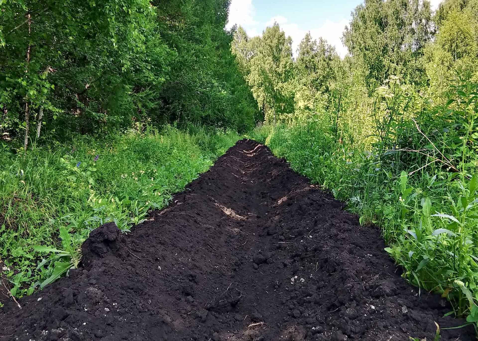 В&nbsp;Самарской области продолжается противопожарное обустройство лесов
