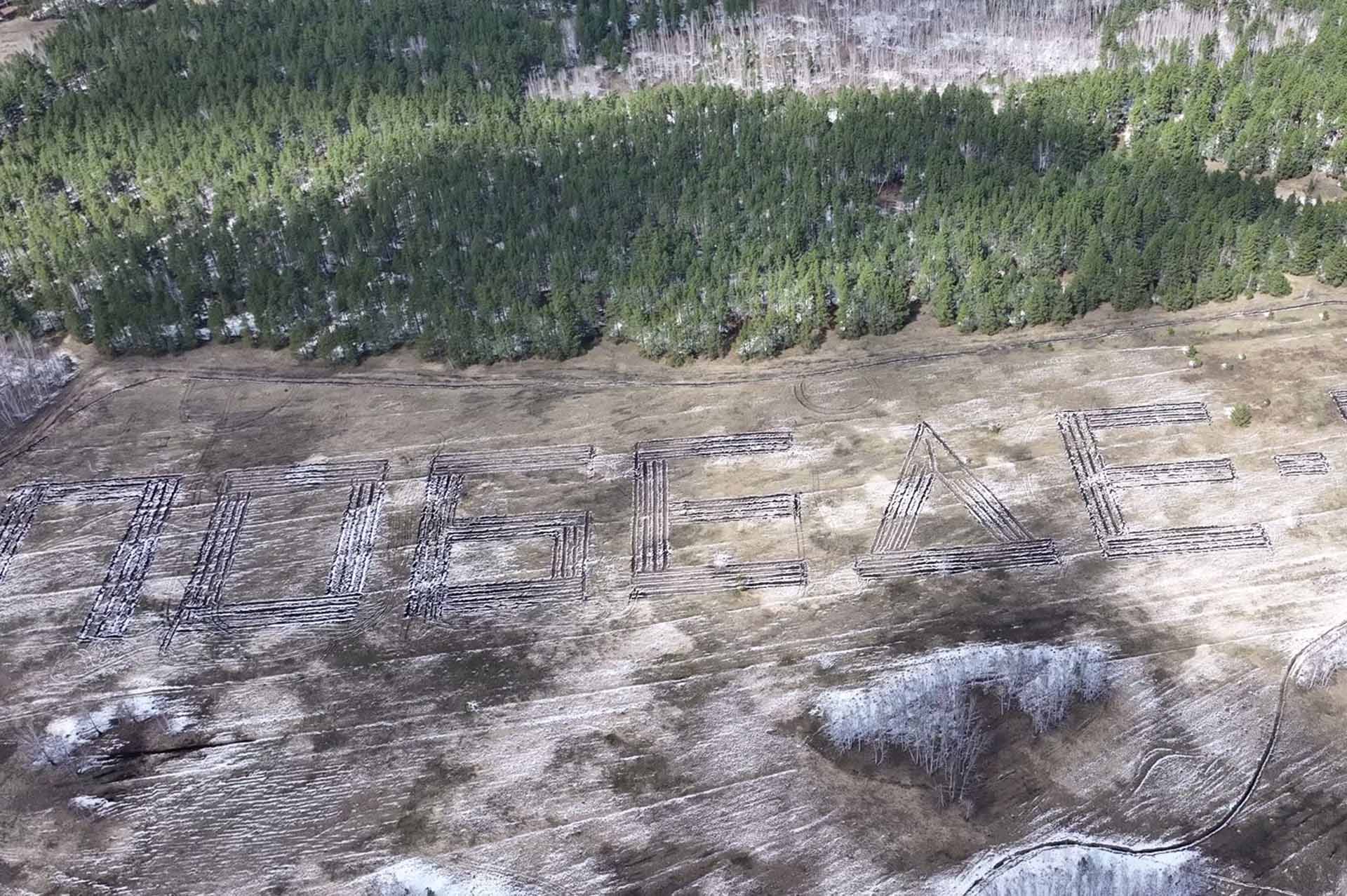 В&nbsp;Омской области восстановили леса на&nbsp;площади 2,15&nbsp;тыс. га