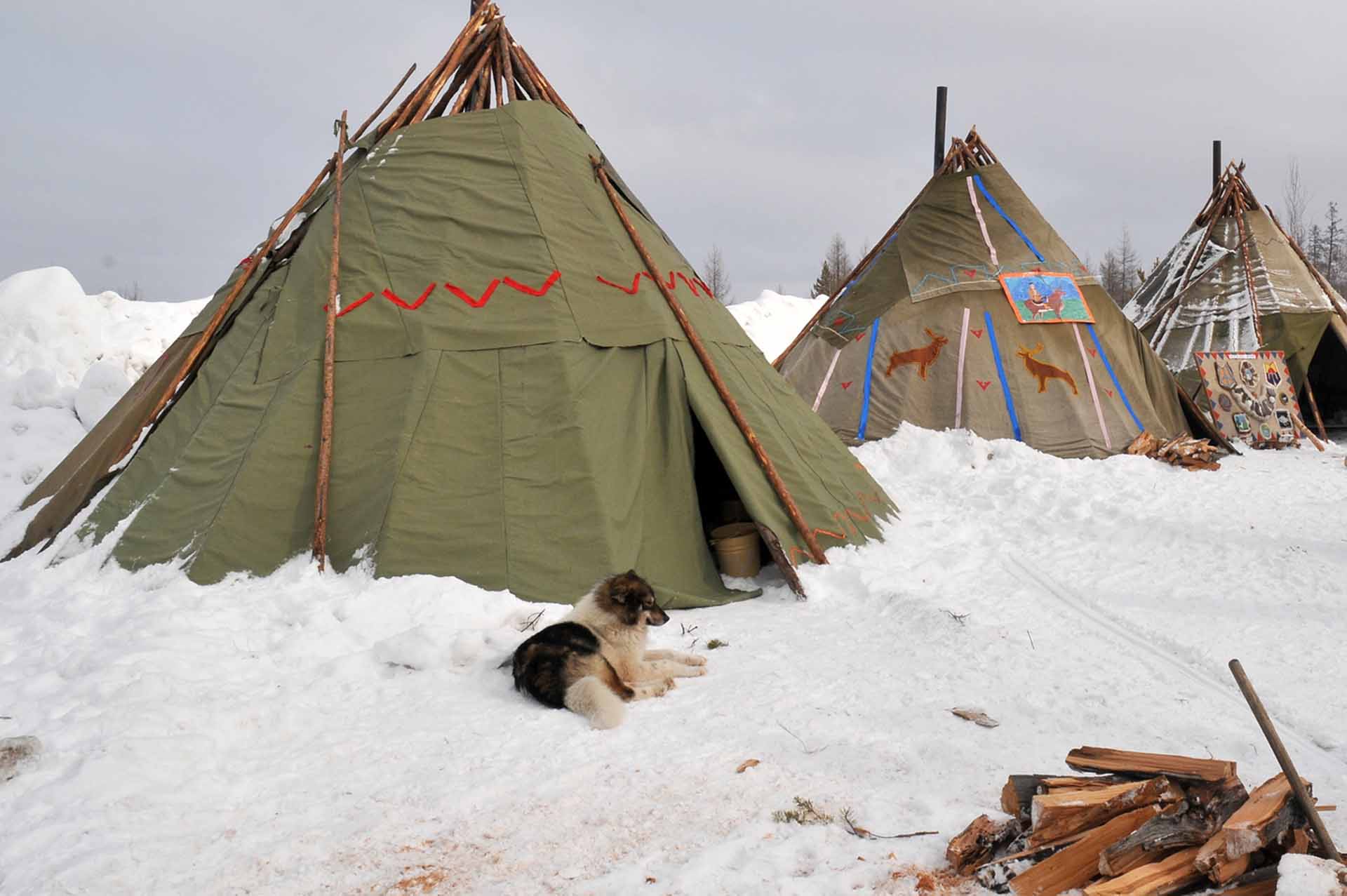 В&nbsp;Красноярском крае запустят обучающую программу &laquo;Работник кочевого жилья&raquo;