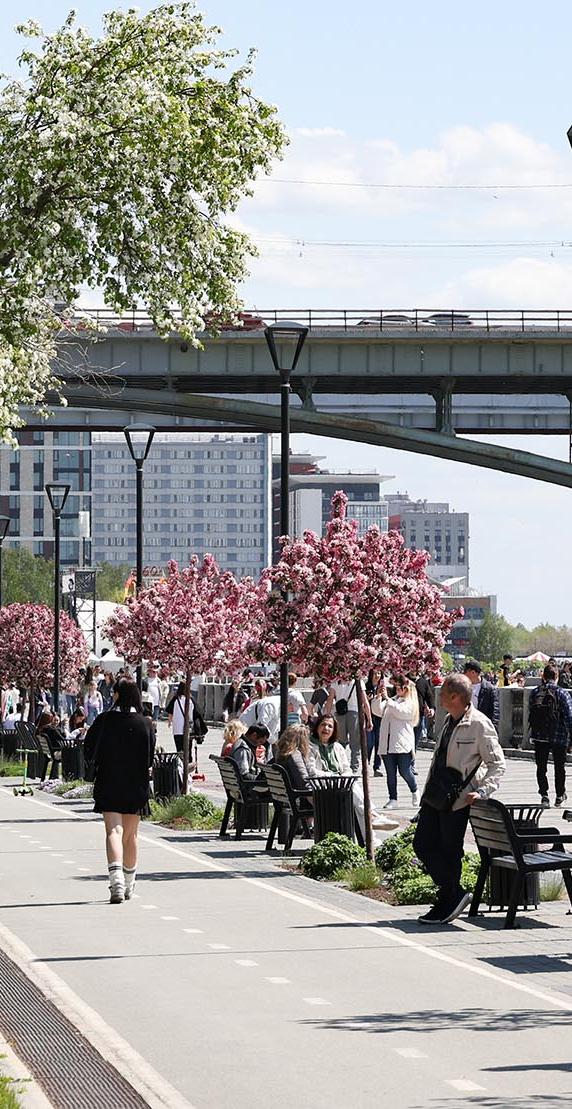В Новосибирской области создали проекты культурного кода региона