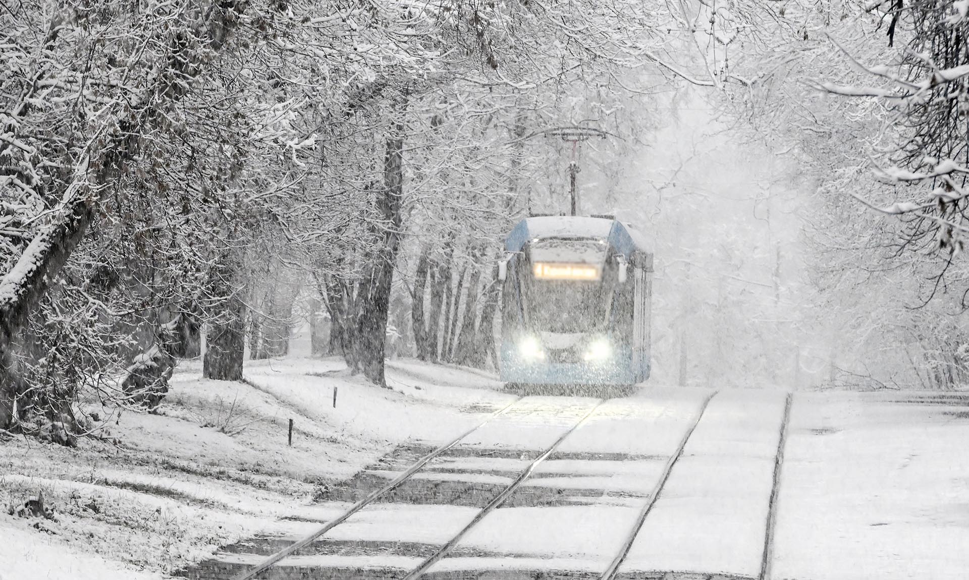 На&nbsp;трамвайной остановке в&nbsp;Санкт-Петербурге уложили цветной асфальтобетон
