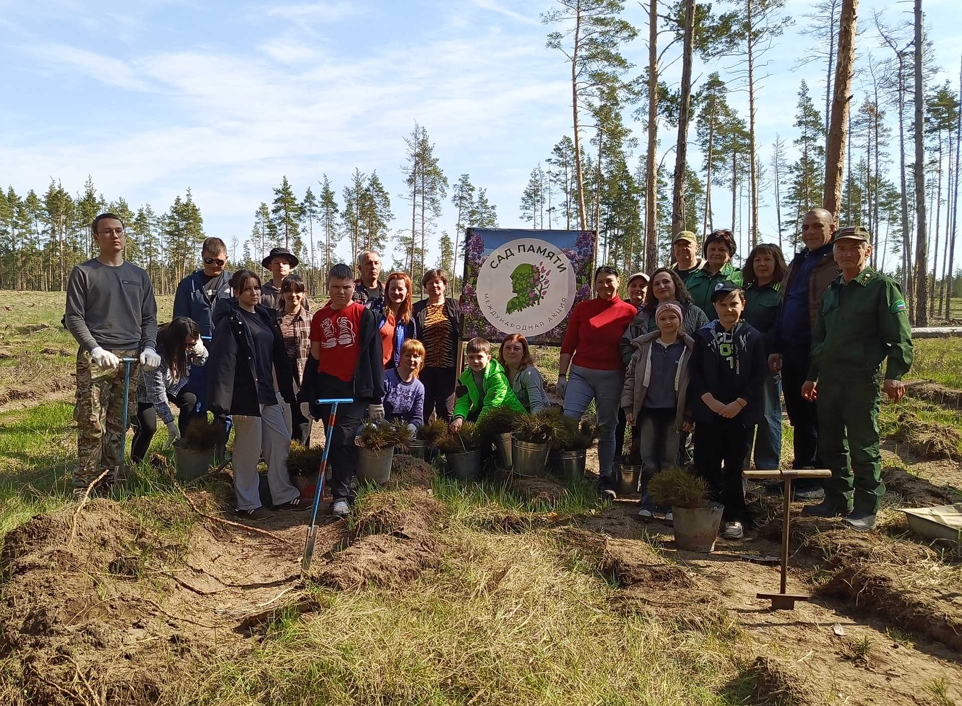 В&nbsp;Давыдовском лесничестве Воронежской области высадили 900&nbsp;сеянцев сосны