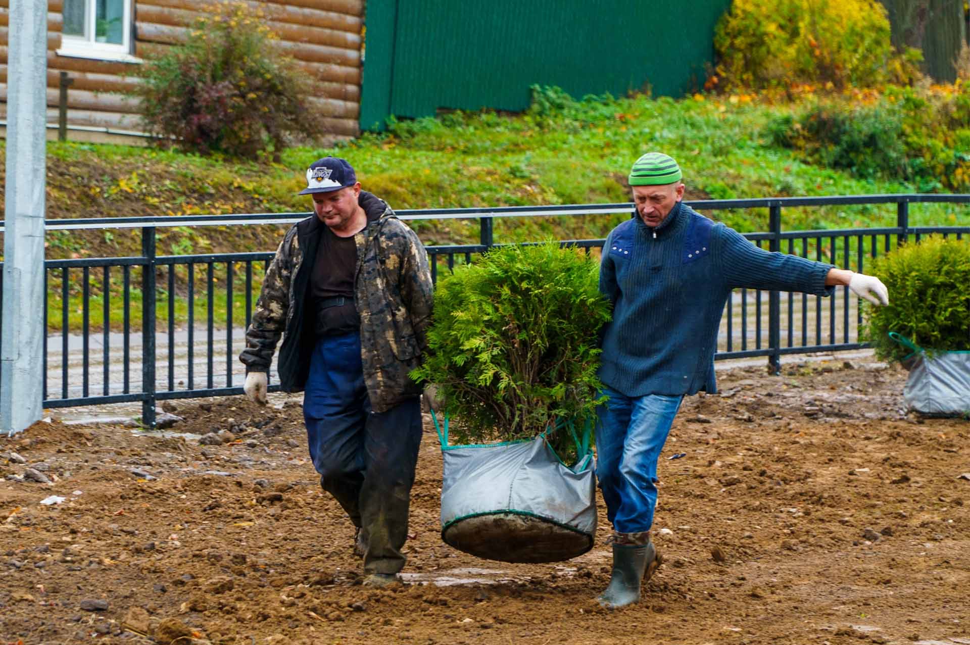 В&nbsp;Сухиничах Калужской области облагородят территорию Баевского оврага
