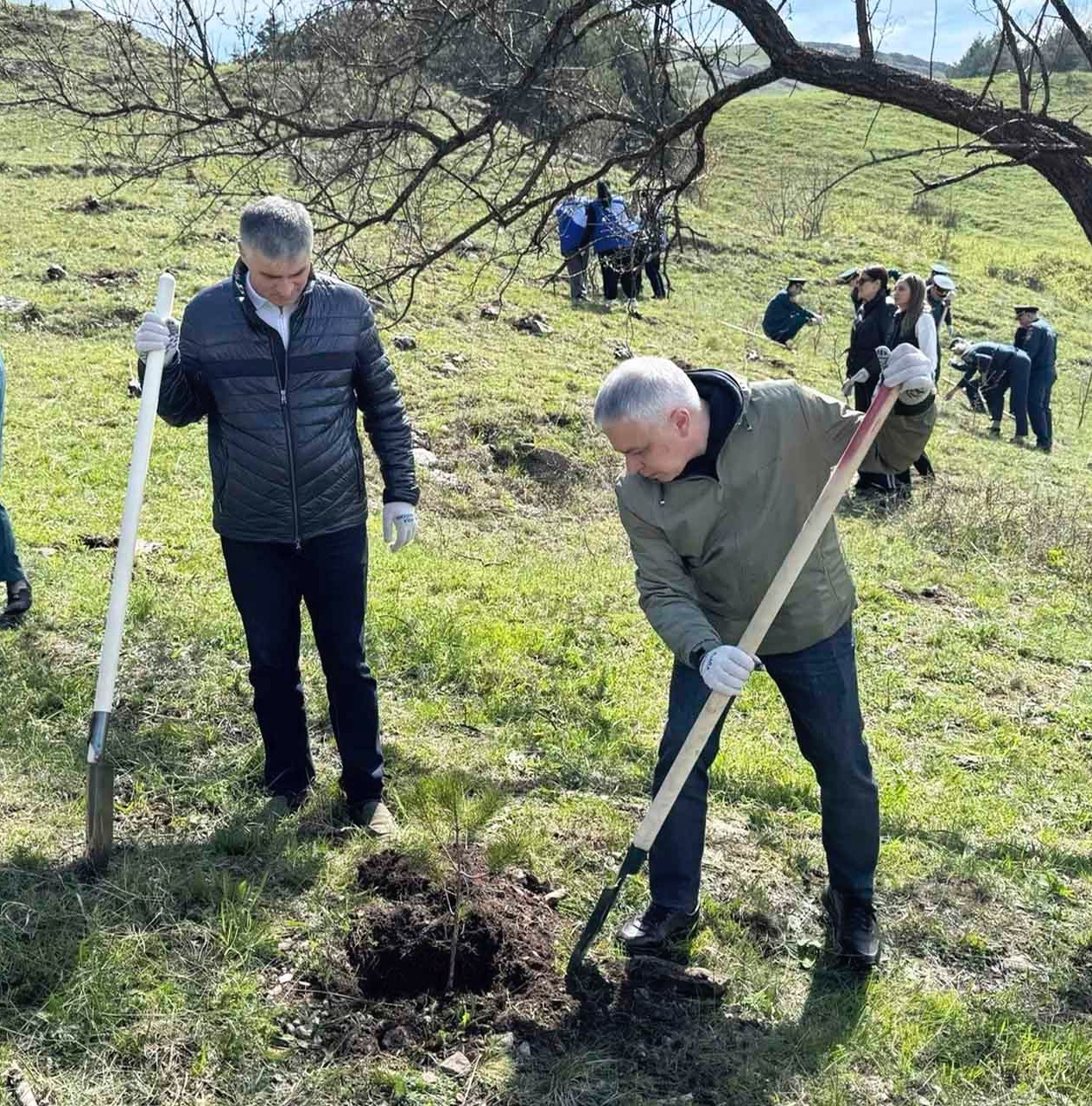 В&nbsp;Карачаево-Черкесии прошло центральное мероприятие акции &laquo;Сад памяти&raquo;