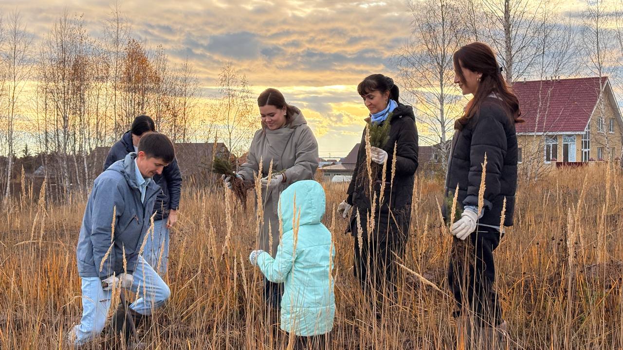 В&nbsp;городе Лаишево Республики Татарстан высадили три тысячи елей