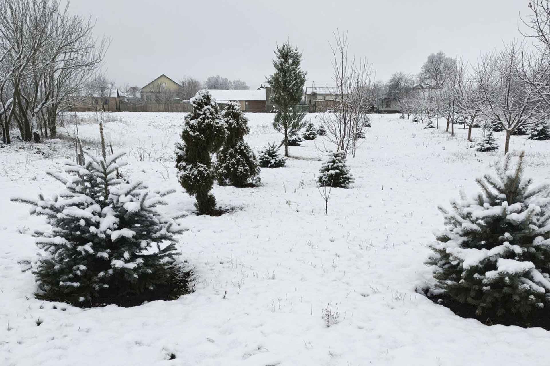 В&nbsp;Белгородской области благодаря господдержке откроют питомник для&nbsp;растений