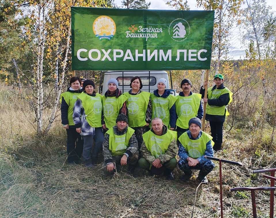 В&nbsp;Дуванском районе Башкирии высадили 4&nbsp;тысячи сеянцев ели