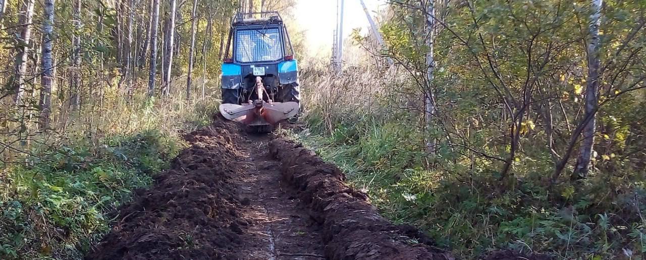 В&nbsp;подмосковном лесничестве завершили обустройство противопожарных полос