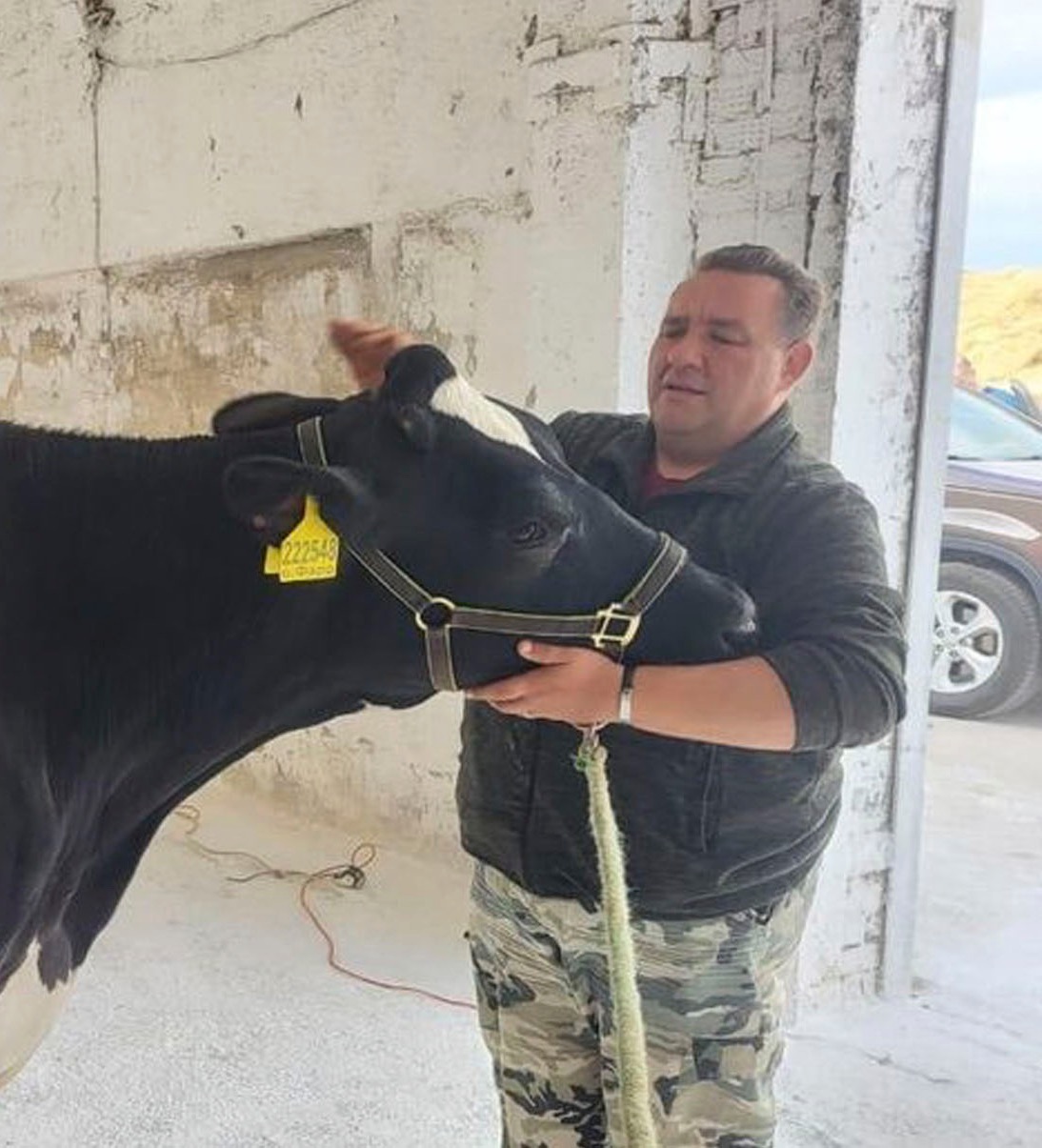 Подмосковье представит одну из&nbsp;лучших коров региона на&nbsp;выставке в&nbsp;столице