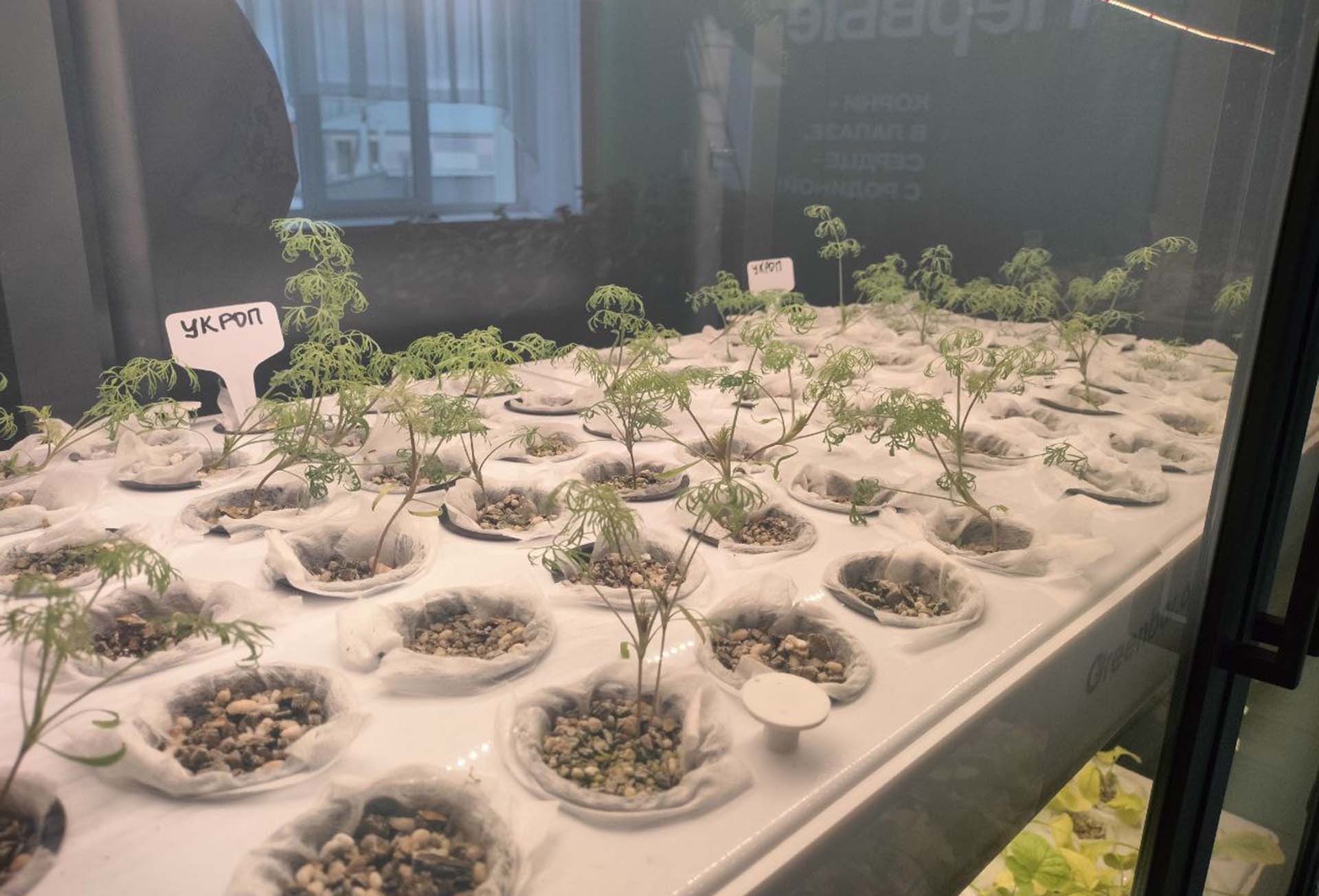 В&nbsp;Оренбуржье оснастили оборудованием пять агротехклассов