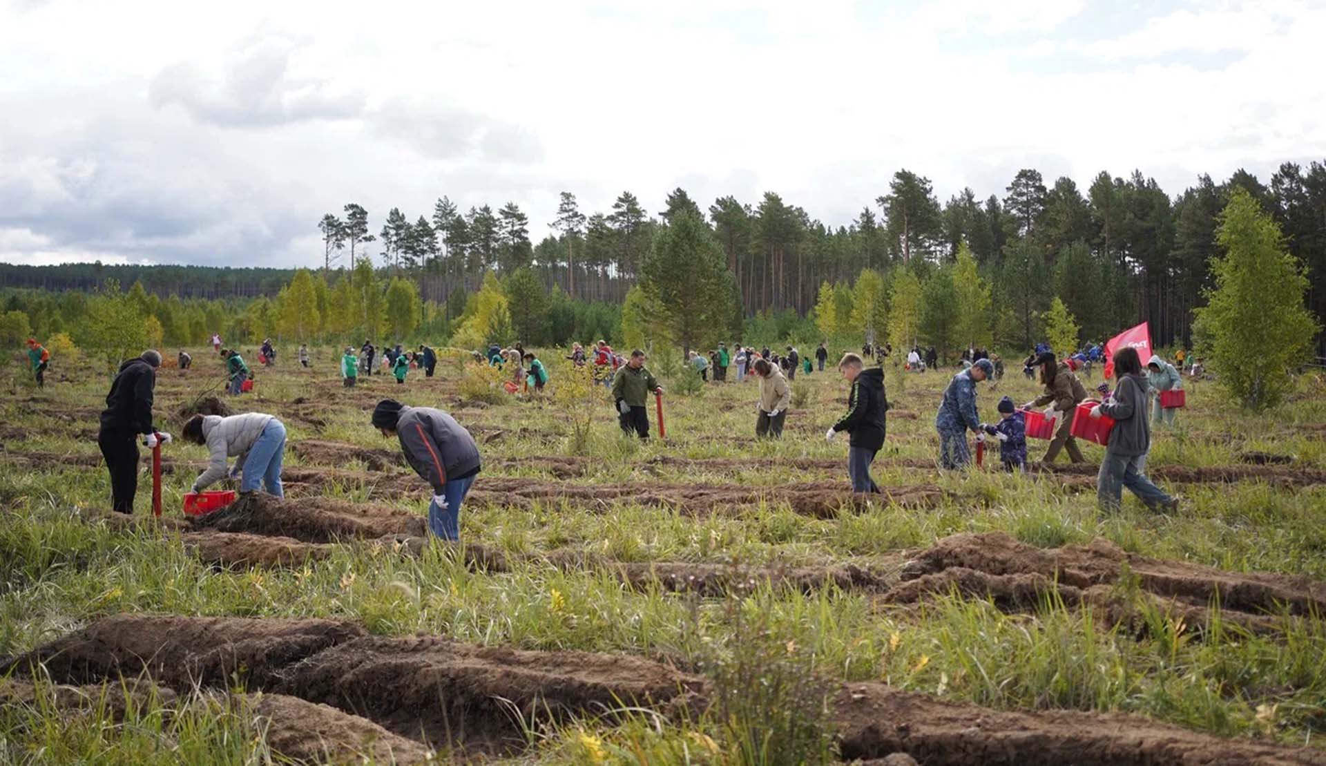 Приангарье вошло в&nbsp;топ-5&nbsp;активных участников акции &laquo;Сохраним лес&raquo;