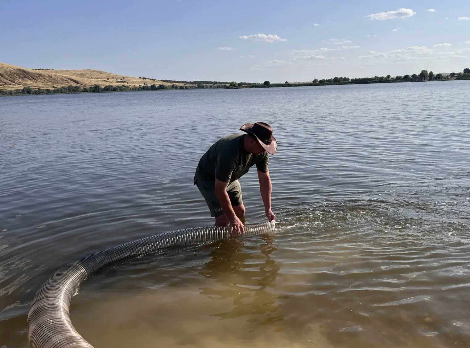 В&nbsp;Волгоградское водохранилище выпустили 20&nbsp;тысяч мальков