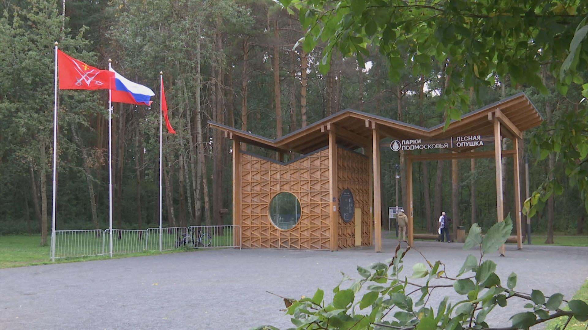 В&nbsp;подмосковном поселке Октябрьском до&nbsp;конца сентября благоустроят лесопарк