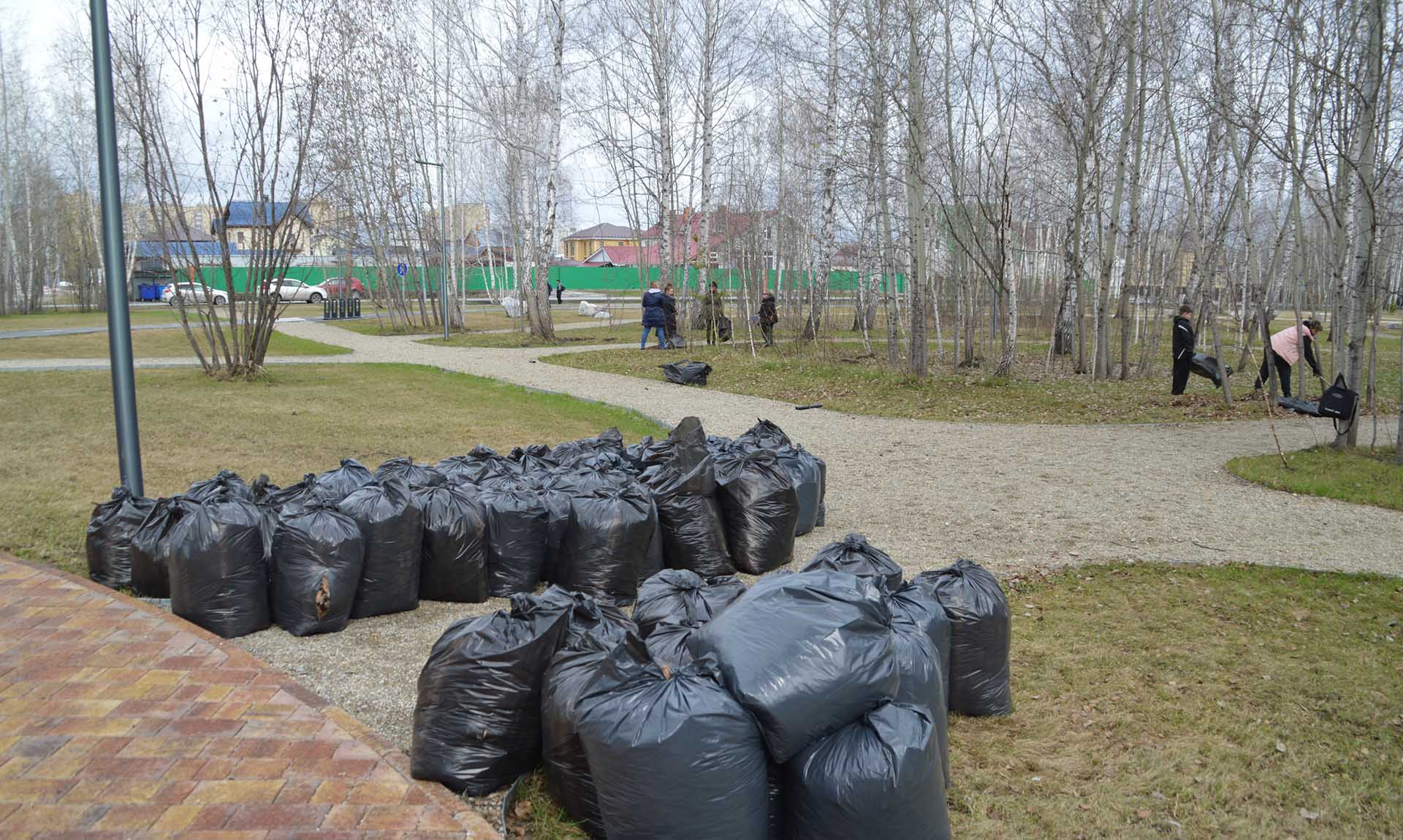 В&nbsp;тюменском парке Константина Лагунова прошел субботник