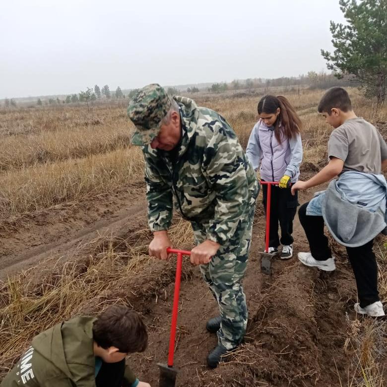 В Донском лесничестве Воронежской области высадили тысячу сеянцев сосны