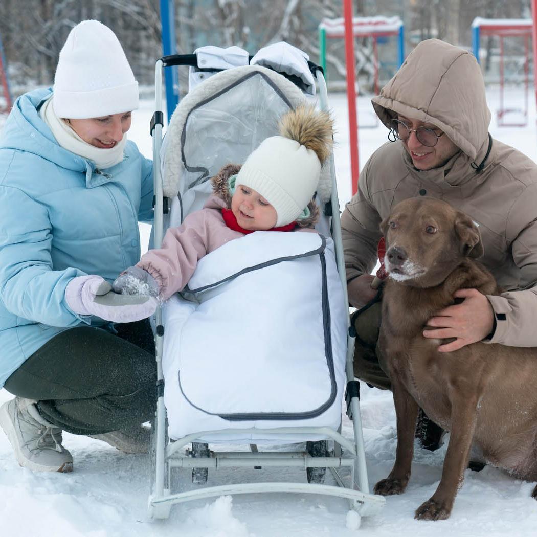 За&nbsp;3&nbsp;месяца меры соцподдержки помогли 36,3&nbsp;тыс. многодетных семей Кузбасса