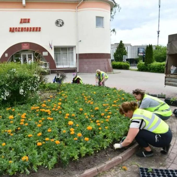 В&nbsp;подмосковном округе Истра к&nbsp;лету высадили более 70&nbsp;тысяч цветов