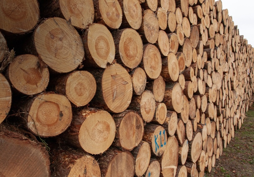 Прикамье экспортировало в&nbsp;Палестину 180&nbsp;кубометров хвойных лесоматериалов