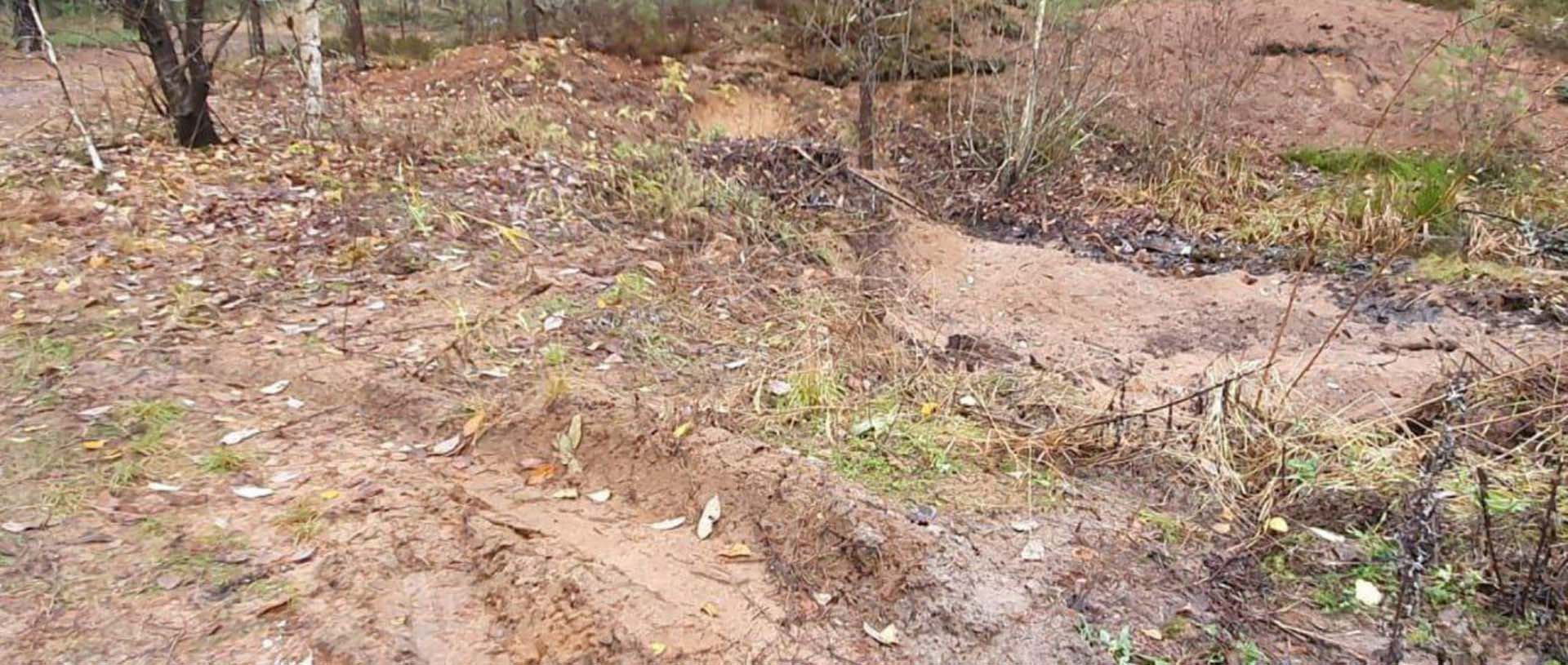 В&nbsp;лесах Ленобласти за&nbsp;месяц ликвидировали 10&nbsp;несанкционированных свалок