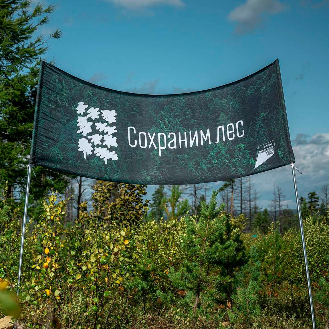 В&nbsp;России стартовал осенний сезон &laquo;Экотрекера зеленых привычек&raquo;