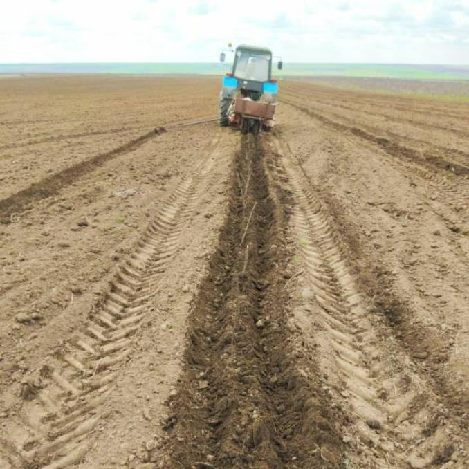 До&nbsp;конца весны на&nbsp;Ставрополье высадят деревья на&nbsp;34&nbsp;гектарах