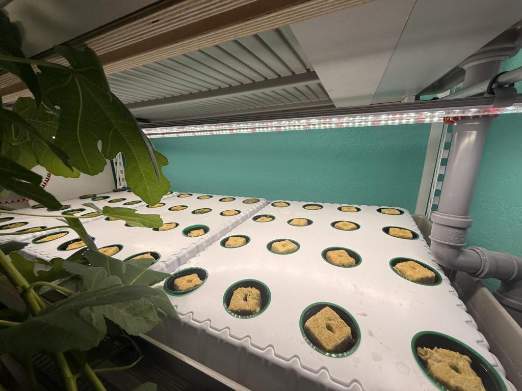 В&nbsp;школе поселка Ладва в&nbsp;Карелии открыли агротехкласс