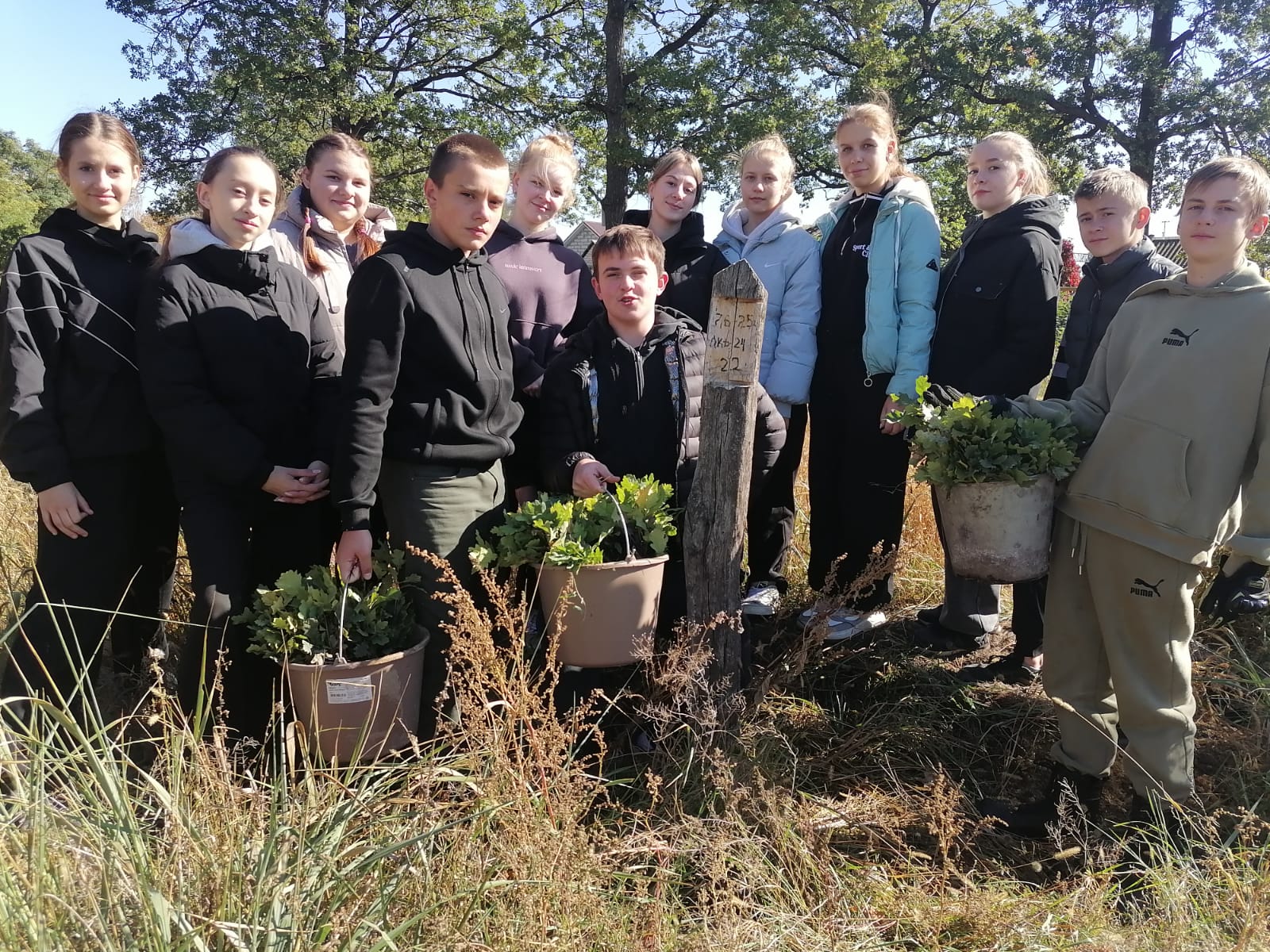 В&nbsp;Тресвятском лесничестве Воронежской области школьники посадили 680&nbsp;дубов