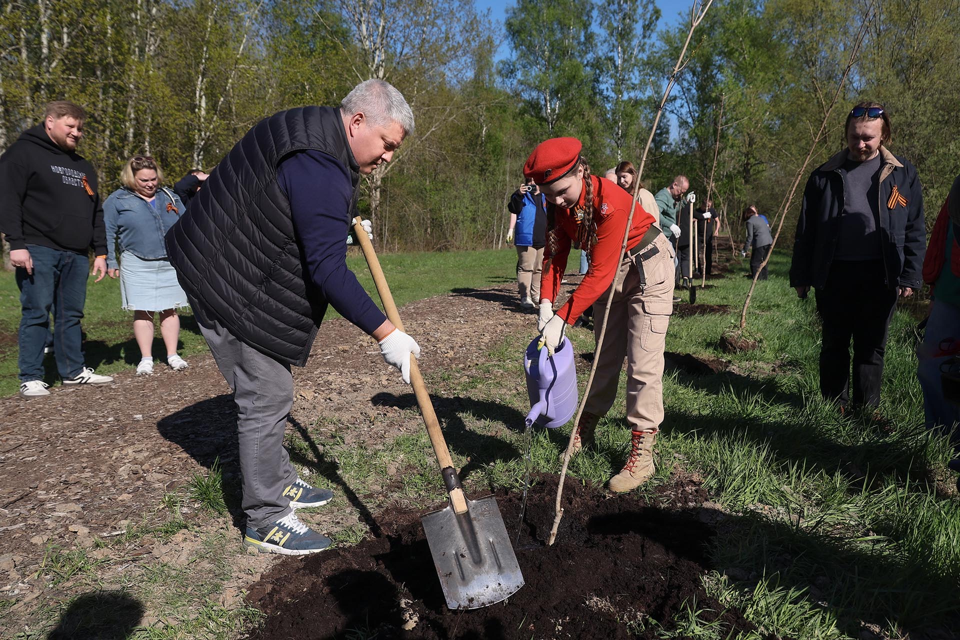 В&nbsp;Великом Новгороде высадили кленовую аллею