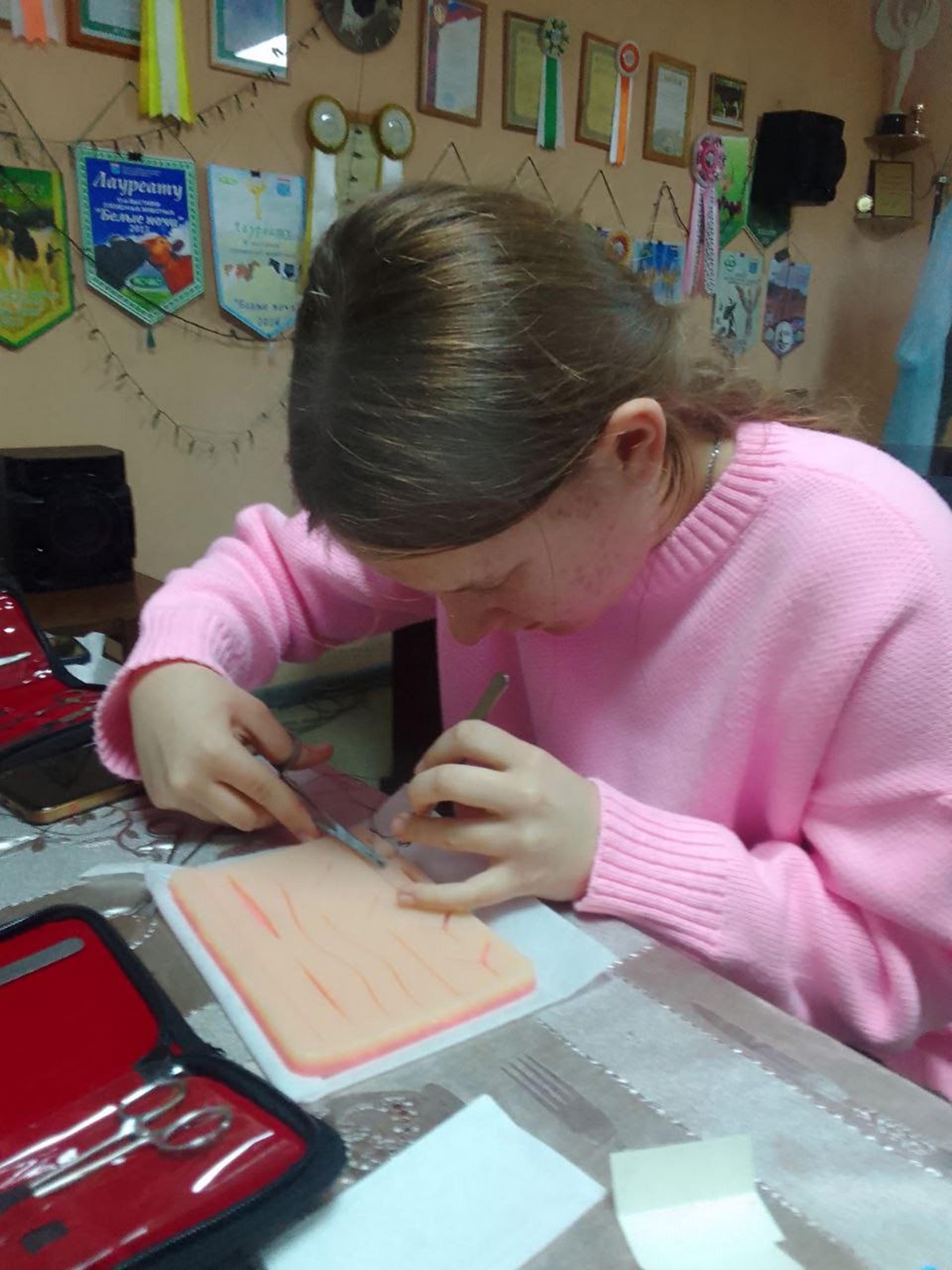 В&nbsp;Ленобласти ученики агротехкласса освоили наложение хирургических швов