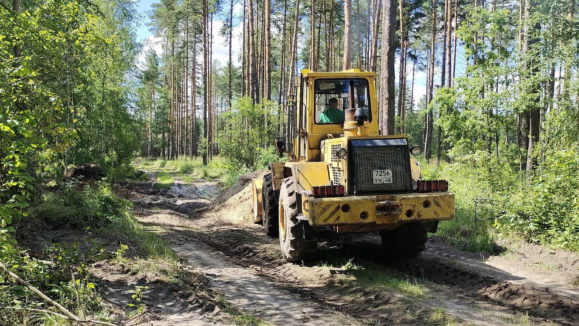 В&nbsp;Липецкой области обустроили более 1000&nbsp;км минерализованных полос