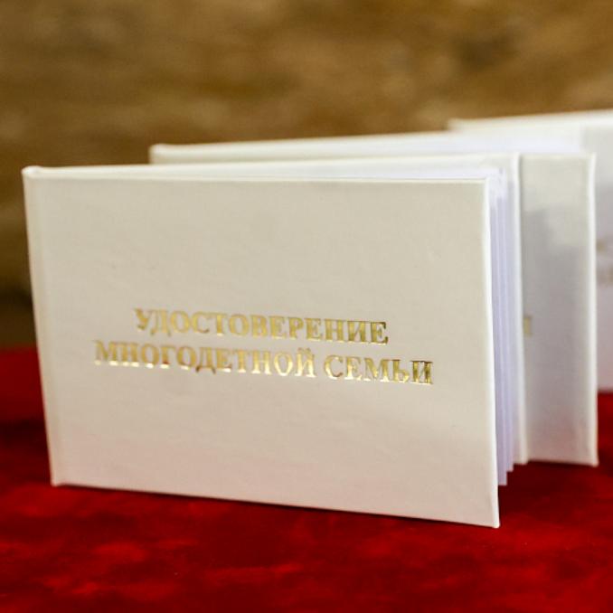 В&nbsp;Приморье оптимизировали получение мер поддержки многодетными семьями