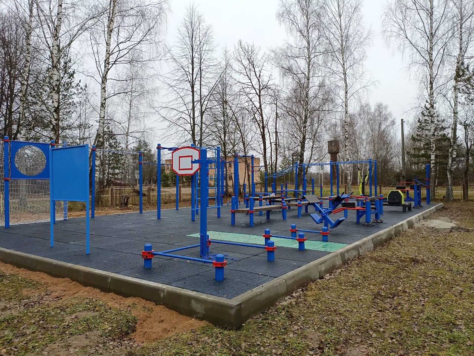 В&nbsp;восьми округах Смоленской области построили &laquo;умные&raquo; спортплощадки