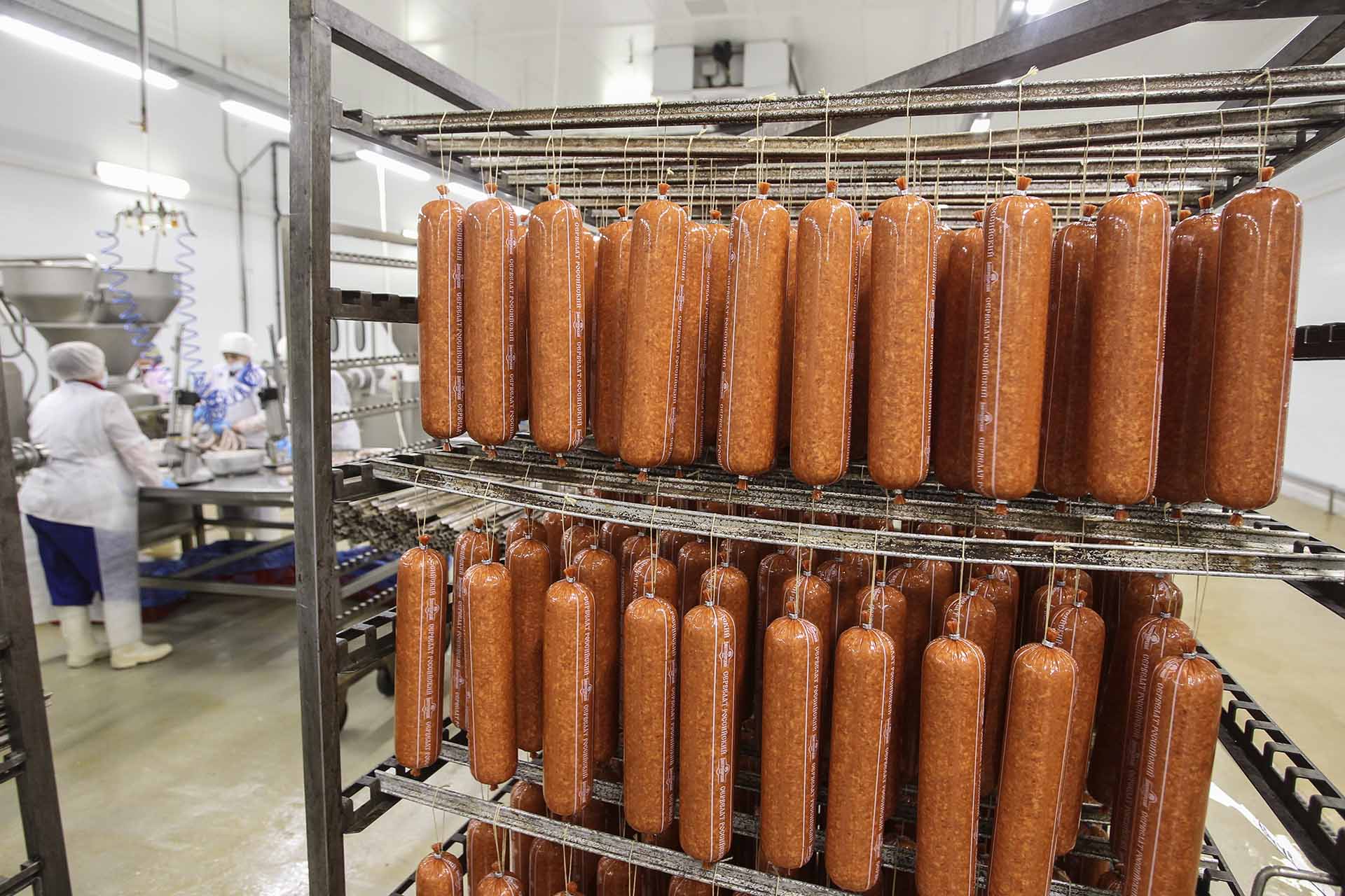 Из&nbsp;Воронежской области экспортировали 43,5&nbsp;тыс. т продукции животноводства