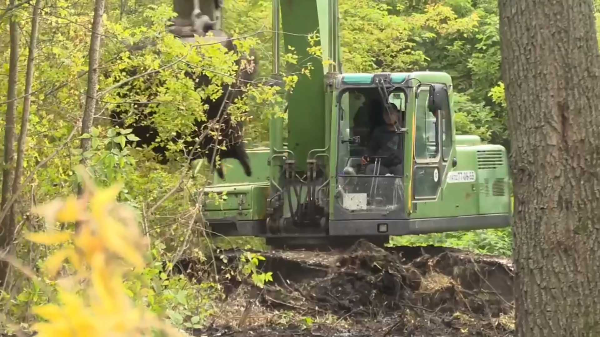 В&nbsp;Губкине Белгородской области начали расчистку реки Осколец